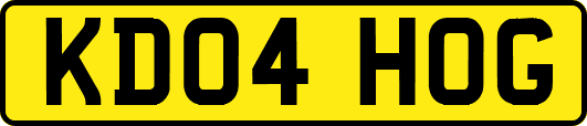 KD04HOG