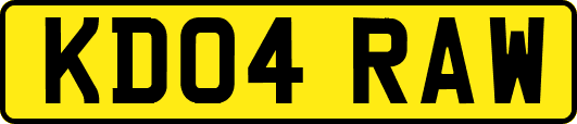 KD04RAW
