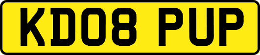 KD08PUP
