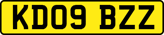 KD09BZZ