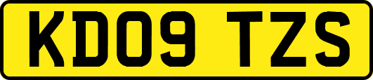 KD09TZS