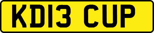 KD13CUP