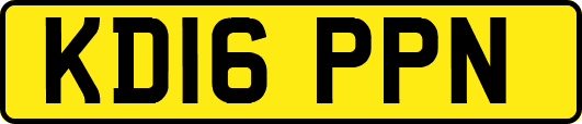 KD16PPN
