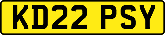 KD22PSY
