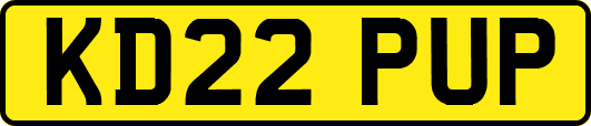 KD22PUP