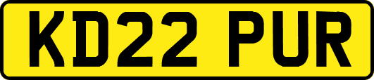 KD22PUR