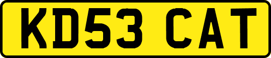 KD53CAT