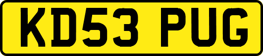 KD53PUG
