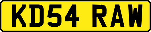 KD54RAW