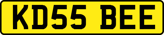 KD55BEE