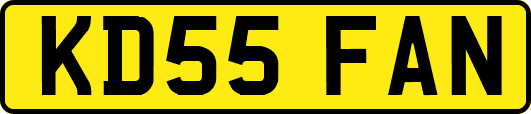 KD55FAN