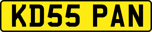 KD55PAN