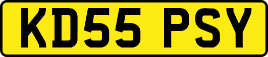KD55PSY