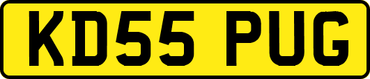 KD55PUG
