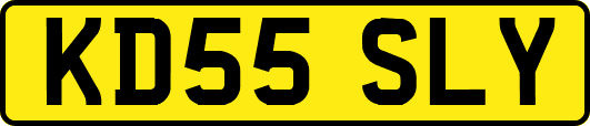 KD55SLY