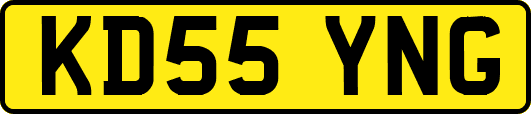 KD55YNG