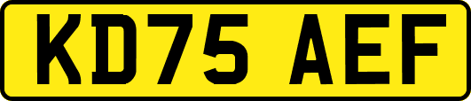 KD75AEF