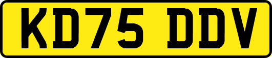 KD75DDV