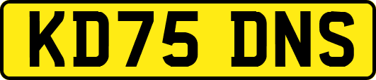 KD75DNS