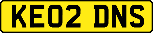 KE02DNS