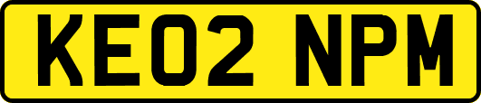 KE02NPM