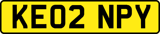 KE02NPY