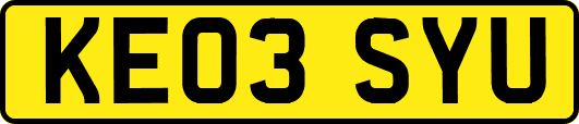 KE03SYU