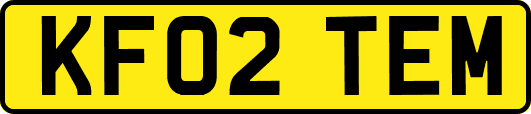 KF02TEM