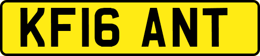 KF16ANT