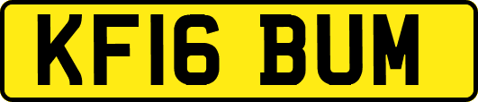 KF16BUM
