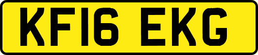 KF16EKG