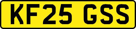 KF25GSS