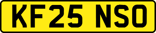 KF25NSO