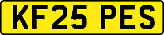 KF25PES