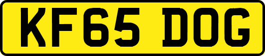 KF65DOG
