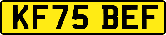 KF75BEF