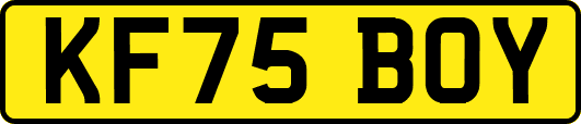 KF75BOY