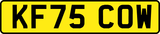 KF75COW