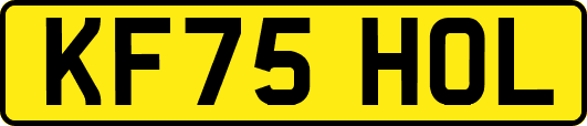 KF75HOL