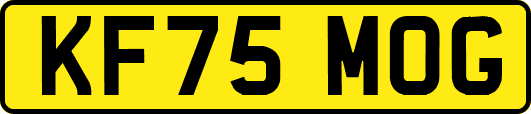 KF75MOG