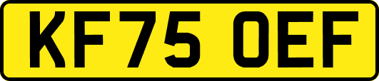 KF75OEF