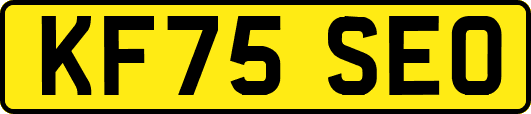 KF75SEO