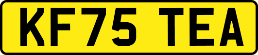 KF75TEA