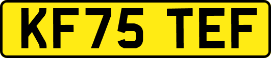 KF75TEF