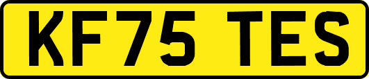KF75TES