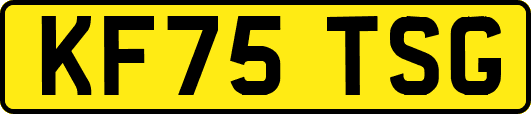 KF75TSG