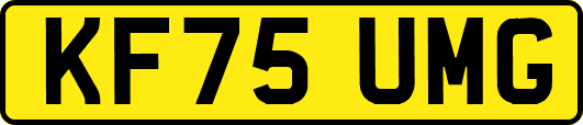 KF75UMG