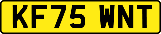 KF75WNT