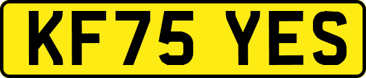 KF75YES