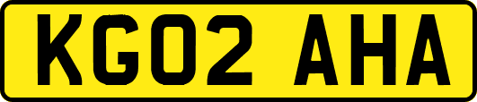 KG02AHA